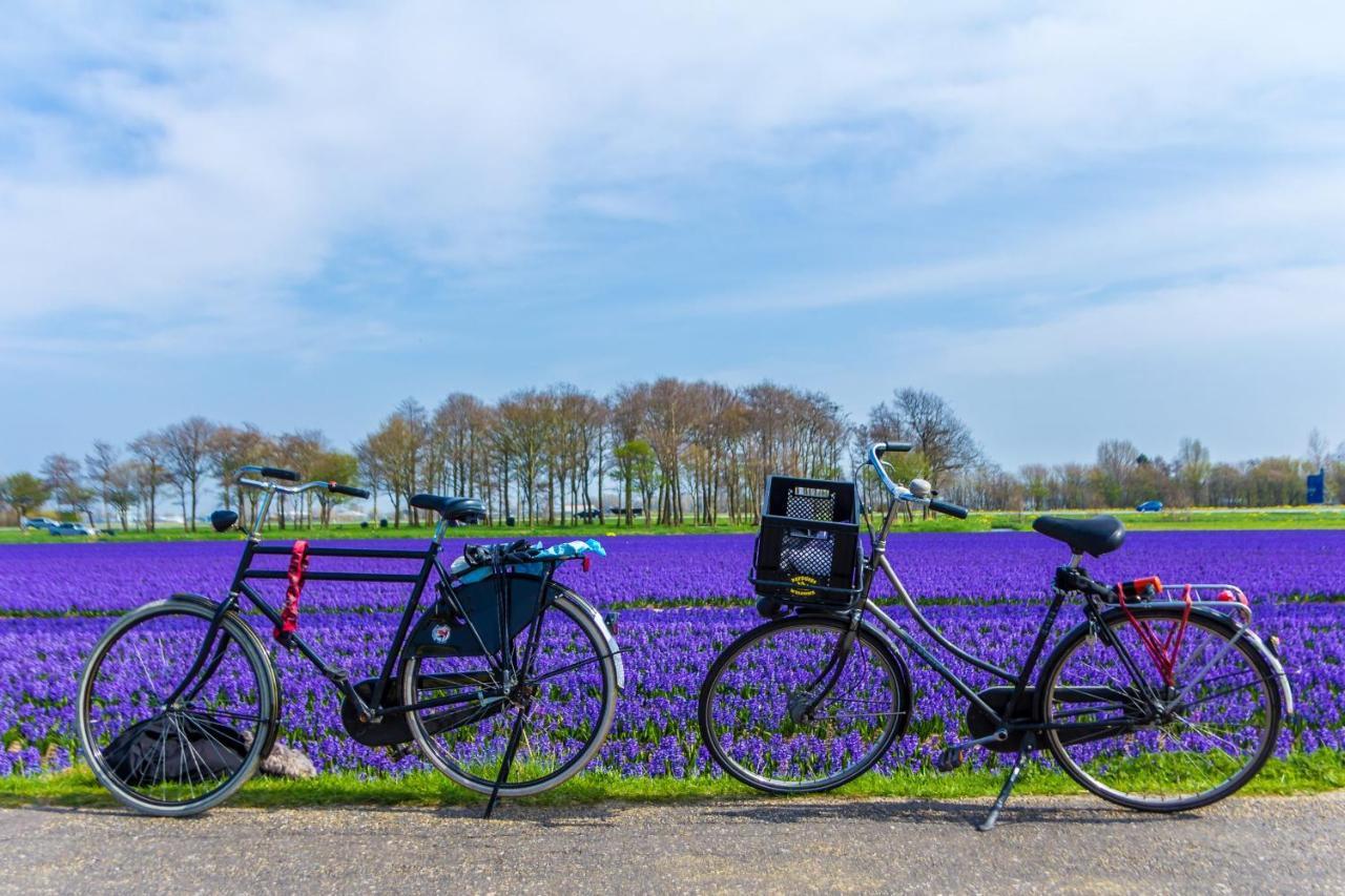 Bed and Breakfast Slapen Bij De Buurvrouw Castricum Exterior foto